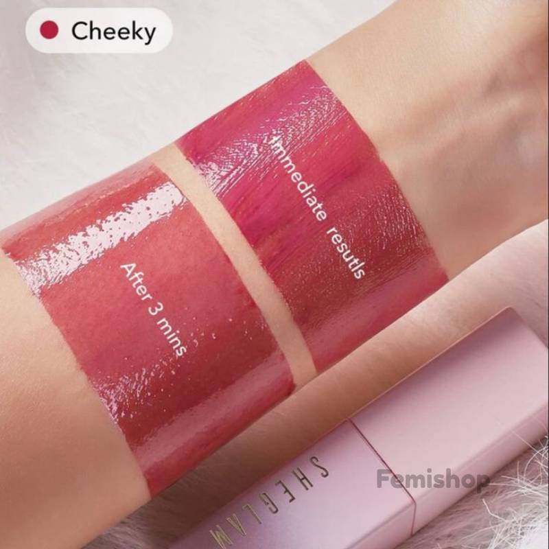 تینت لب شیگلم مدل Take A hint اصل | رنگ طبیعی لب با ماندگاری بالا